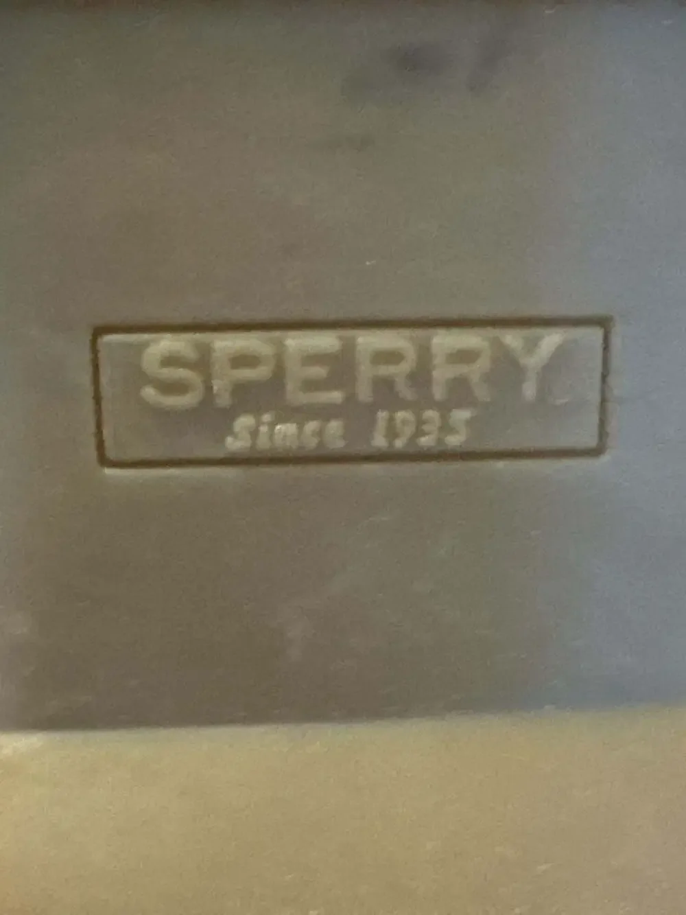 Sperry Women's Saltwater 1-Eye Duck Shoe Light Brown STS85458 Size 6